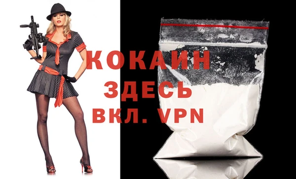 сатива Балахна