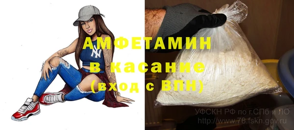 сатива Балахна