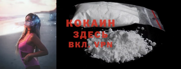сатива Баксан