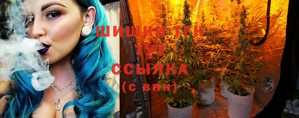 сатива Балахна