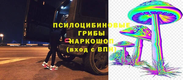 сатива Баксан
