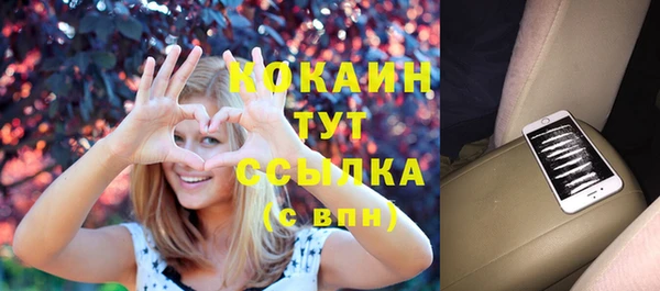 сатива Баксан