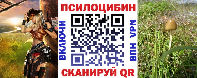 где найти наркотики  KRAKEN ONION  Галлюциногенные грибы Magic Shrooms  сайты даркнета клад  Первомайск 